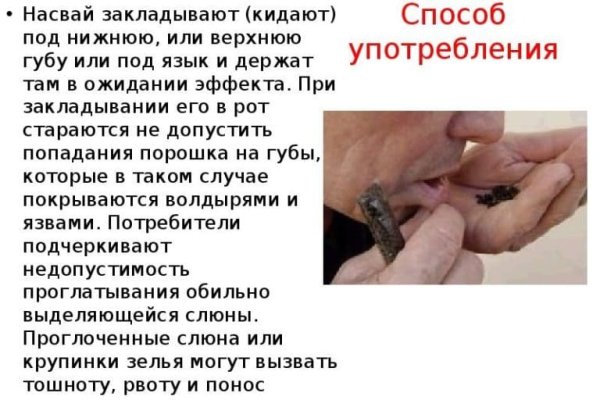 Кракен тор ссылка сегодня